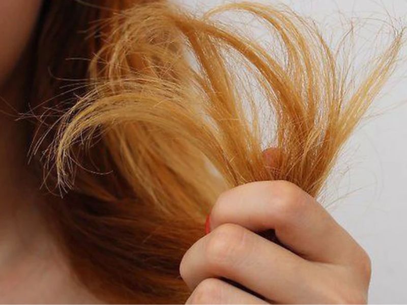 Lý do gây ra tóc chẻ ngọn