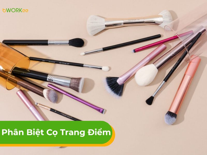 Bí quyết phân biệt cọ trang điểm và cách sử dụng chi tiết