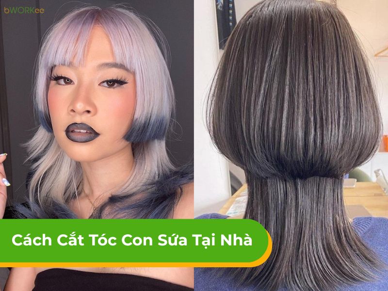 Tổng hợp 13+ cách cắt tóc con sứa tại nhà thịnh hành nhất hiện nay