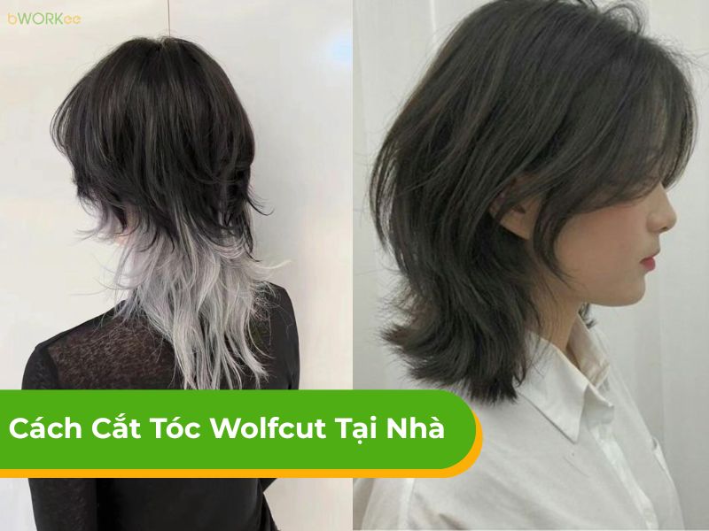 Hướng dẫn cách cắt tóc wolfcut tại nhà vào form đơn giản