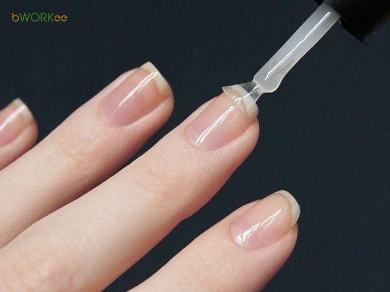 Lu&ocirc;n sử dụng Base Coat (lớp sơn nền)