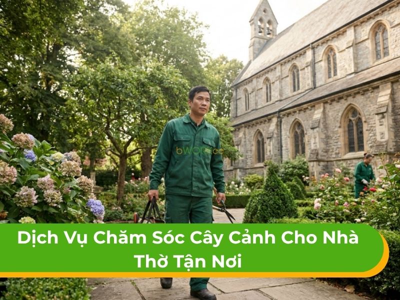 Dịch vụ chăm sóc cây cảnh cho nhà thờ tận nơi