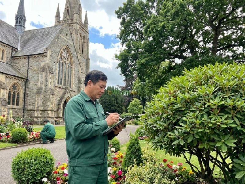 Dịch vụ chăm s&oacute;c c&acirc;y cảnh d&agrave;nh cho nh&agrave; thờ l&agrave; g&igrave;