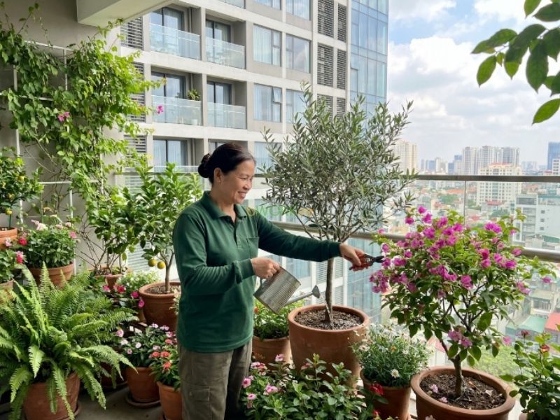 Quy tr&igrave;nh chăm s&oacute;c c&acirc;y cảnh tận nơi cho chung cư