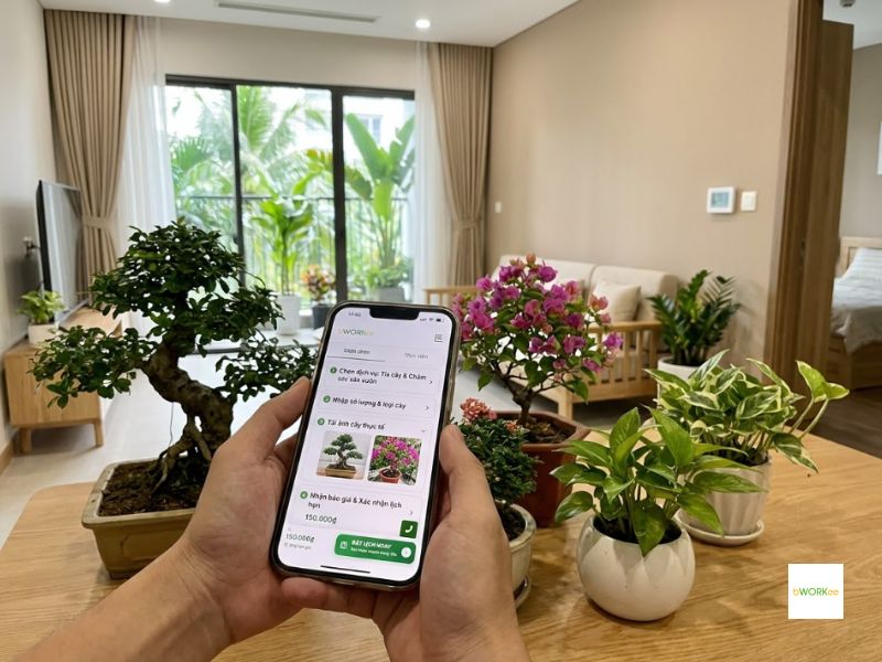 Hướng dẫn quy trình đặt nhanh chóng qua nền tảng Bworkee
